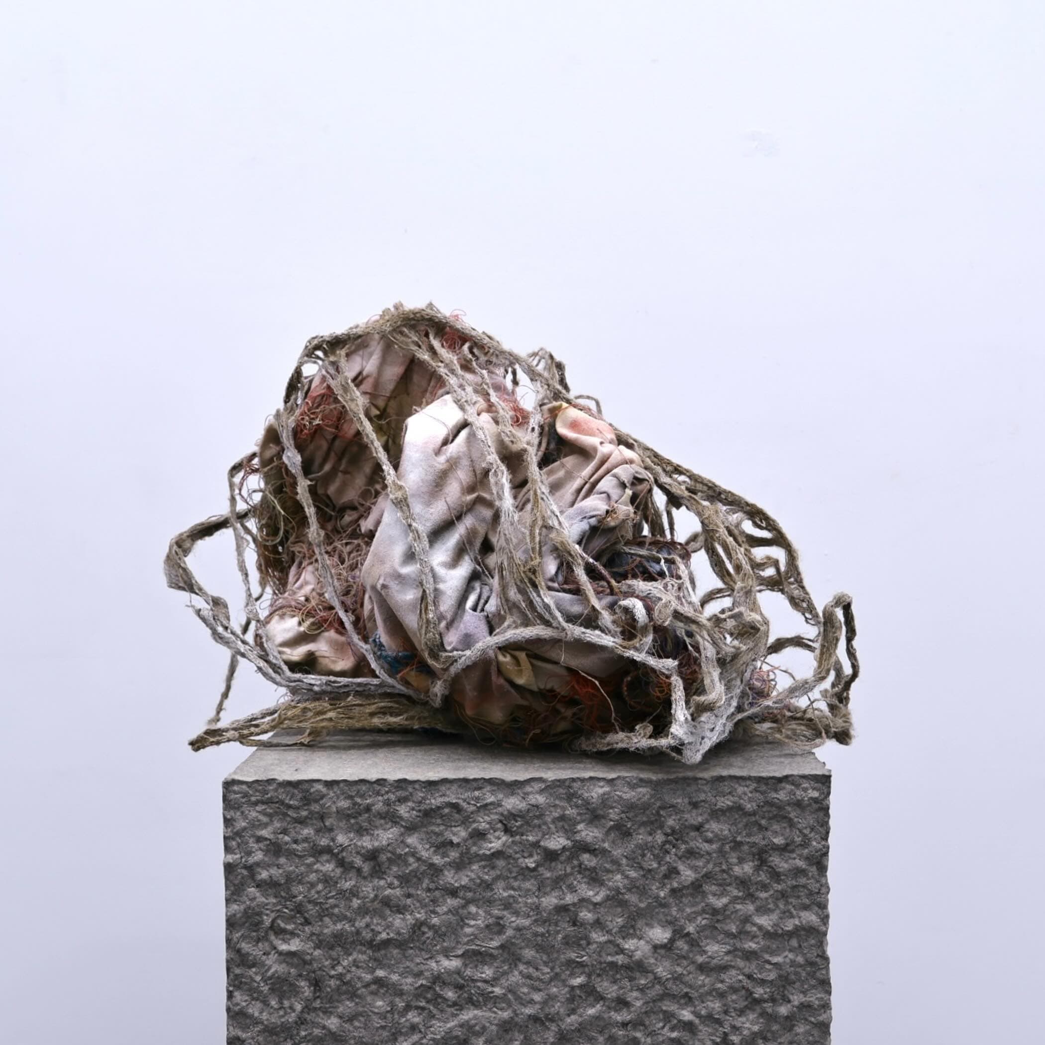 catherine weng — Art / Design entry